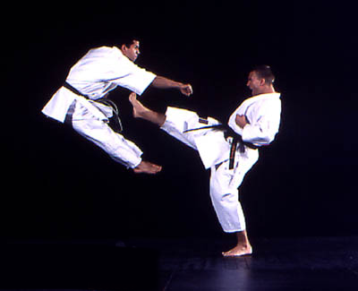 karate_1.png